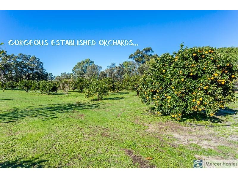 59 Matthie Road, Barragup WA 6209