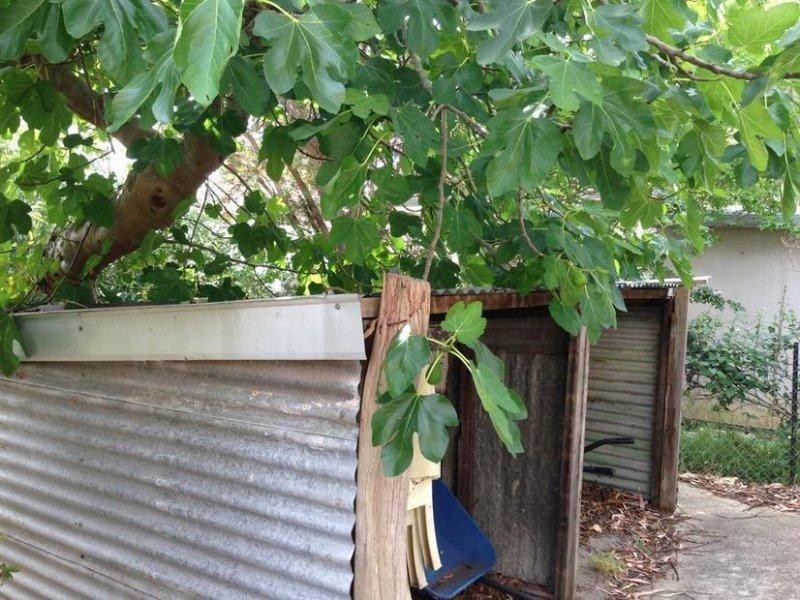 104 FOURACRE Street, Waroona WA 6215