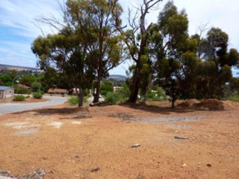 25 Sandalwood Place, Boddington WA 6390