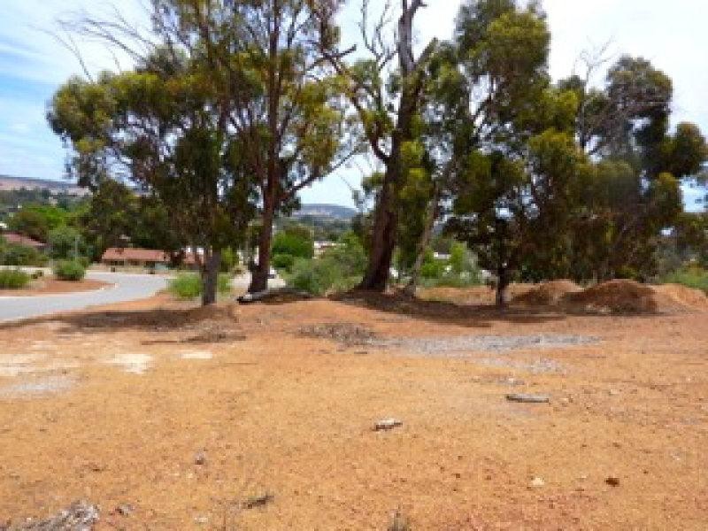 25 Sandalwood Place, Boddington WA 6390