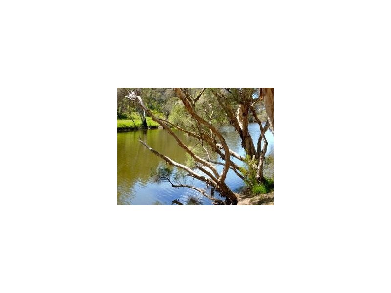 6 River Road, Boddington WA 6390