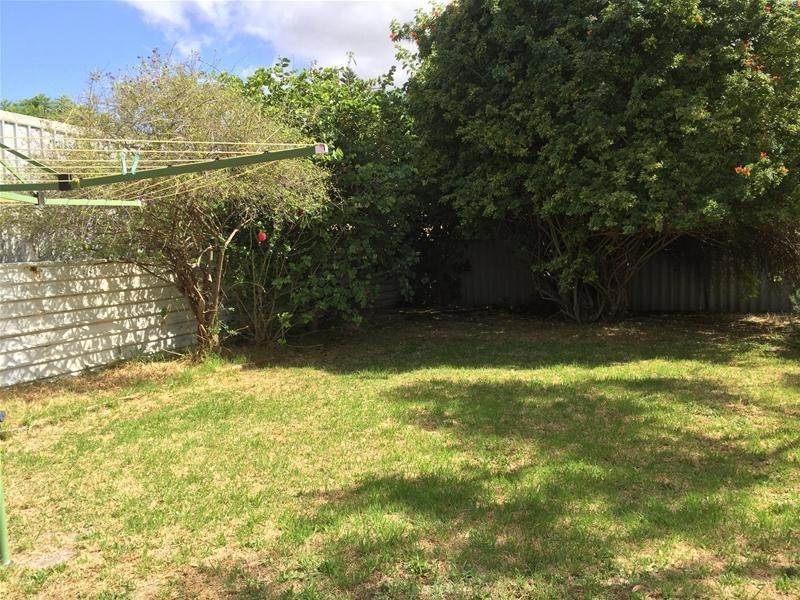 11 Jubilee Drive, Pinjarra WA 6208