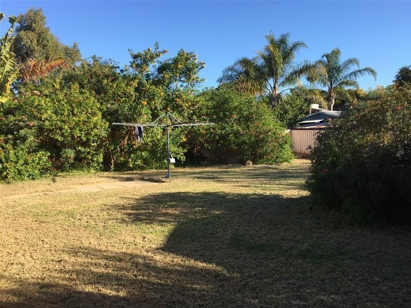 12 Salter Street, Pinjarra WA 6208