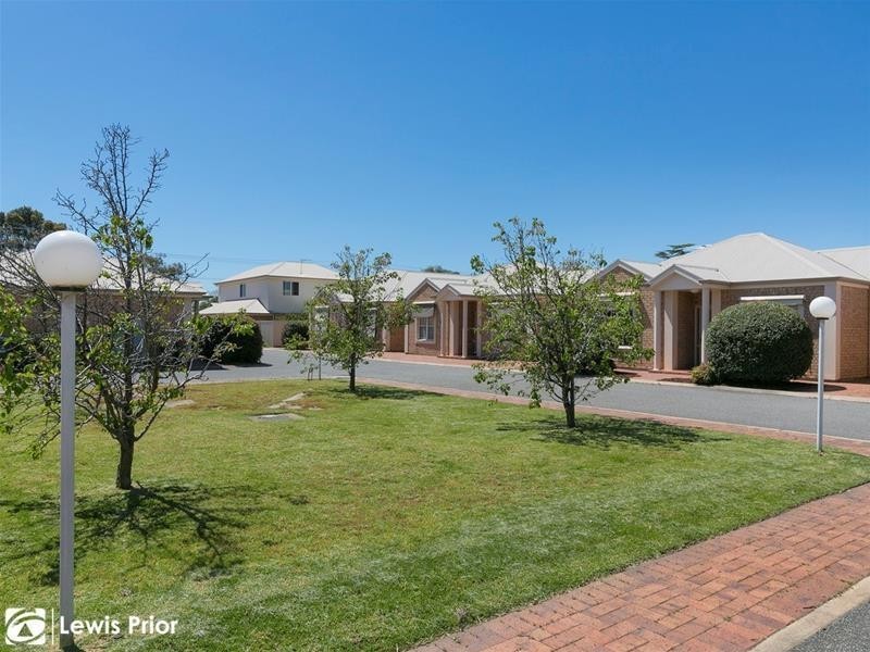 26d Delaine Avenue, Edwardstown SA 5039