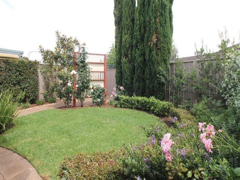 45 McInerney Avenue, Mitchell Park SA 5043