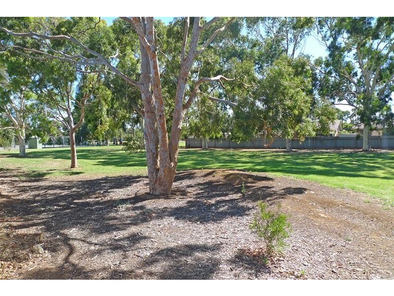 5 Larkdale Avenue, Marion SA 5043