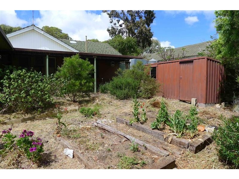 13 Mullins Street, Pasadena SA 5042