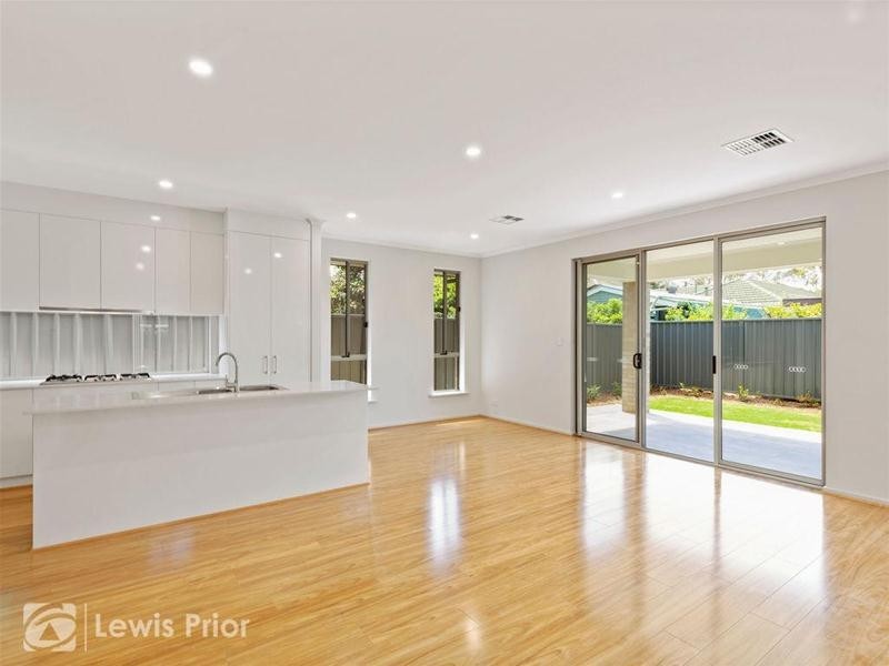 3 Douglas Street, Marion SA 5043