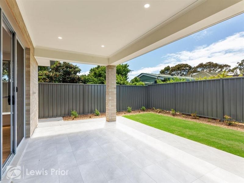 3 Douglas Street, Marion SA 5043