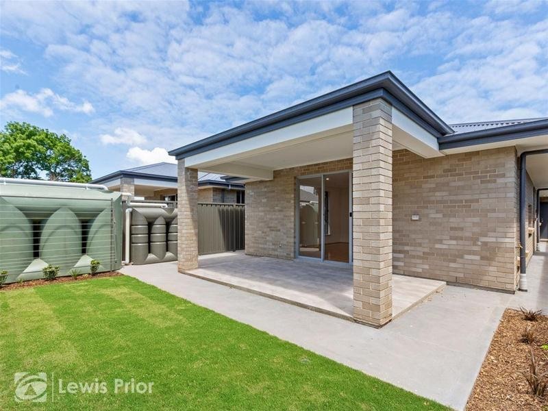 3 Douglas Street, Marion SA 5043