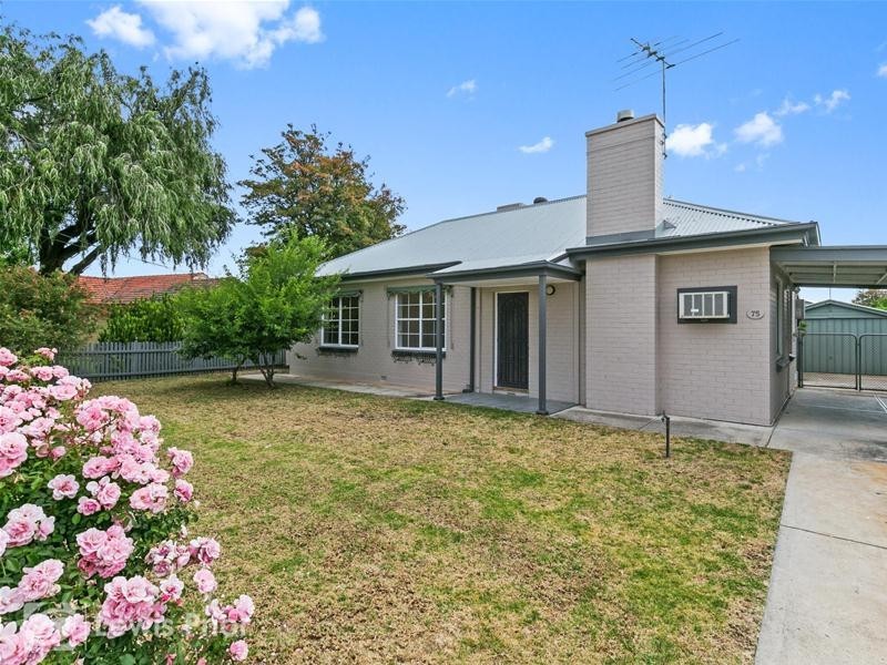 75 Pine Avenue, Glenelg North SA 5045