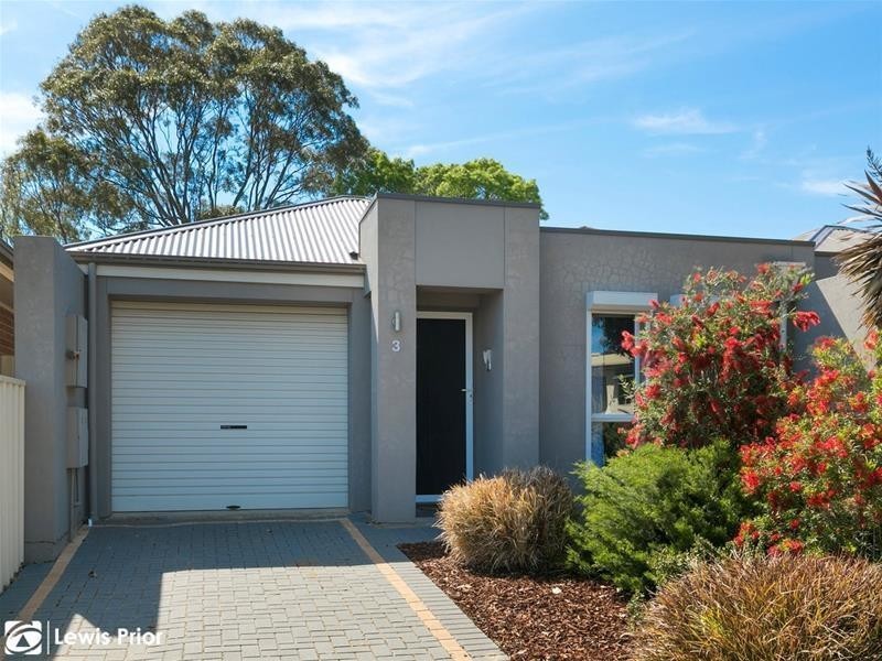 3 Johnstone Road, Oaklands Park SA 5046