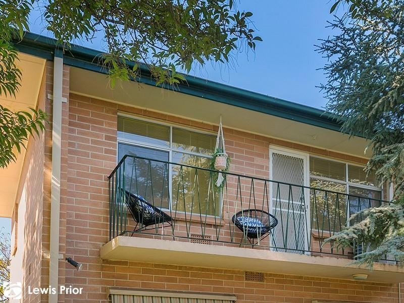 20 Walkley Avenue, Warradale SA 5046