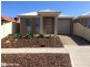 41A Albany Crescent, Oaklands Park SA 5046