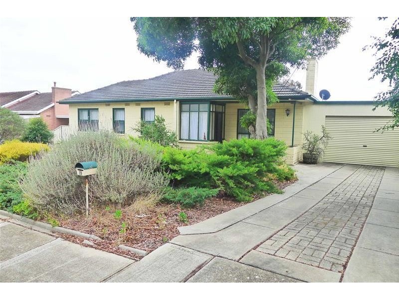 19 Myrtle Grove, Clovelly Park SA 5042