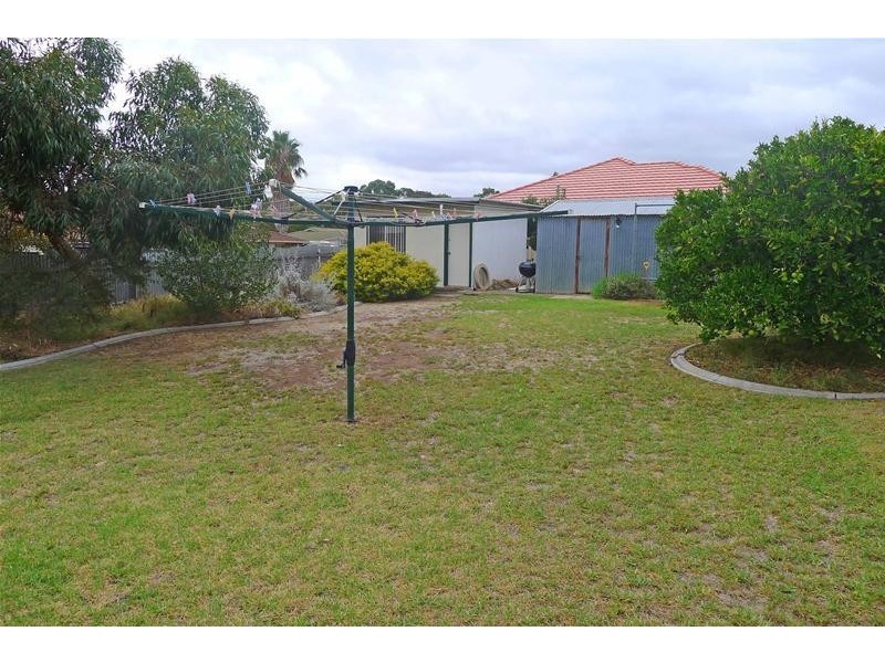 19 Myrtle Grove, Clovelly Park SA 5042