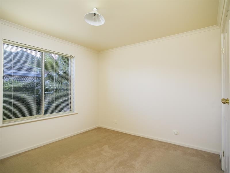 46a Delaine Avenue, Edwardstown SA 5039