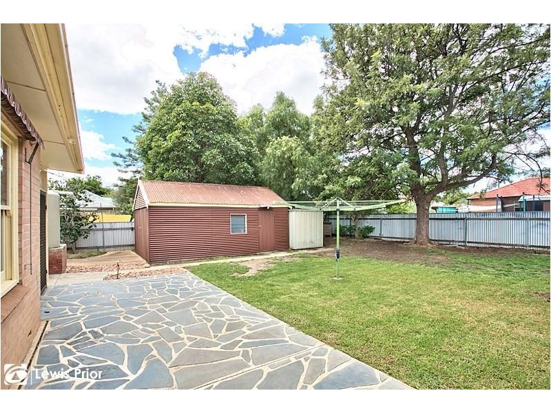 19 Netherby Avenue, Plympton SA 5038