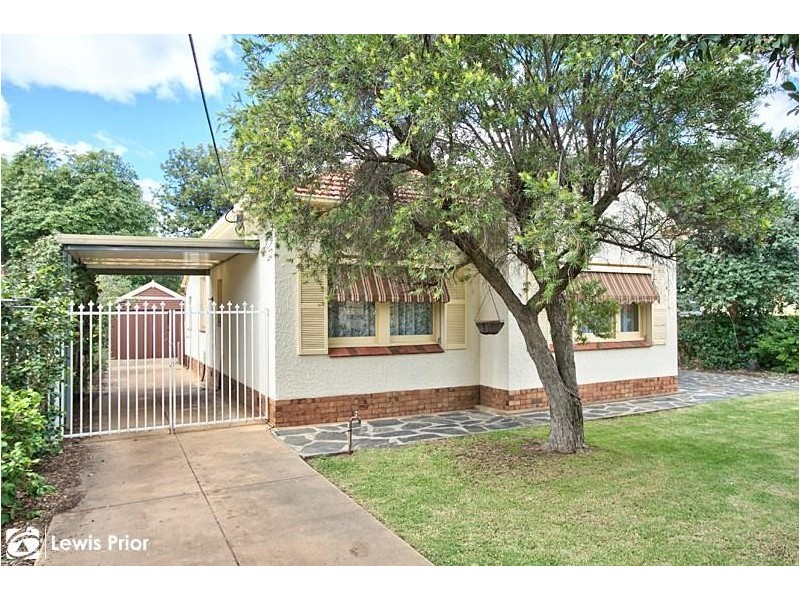 19 Netherby Avenue, Plympton SA 5038