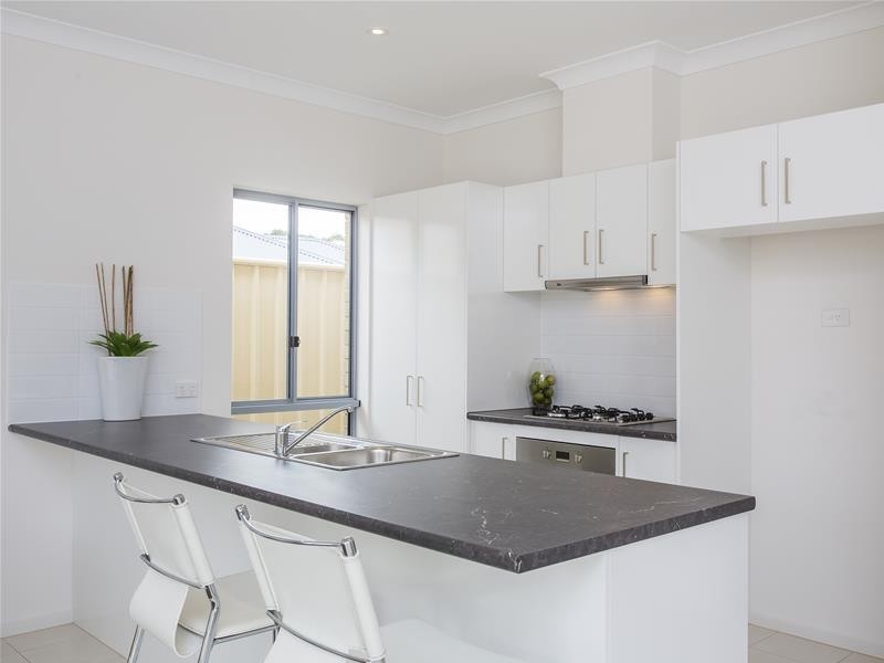 3 Trott Grove, Oaklands Park SA 5046