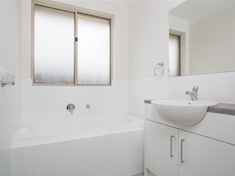 3 Trott Grove, Oaklands Park SA 5046