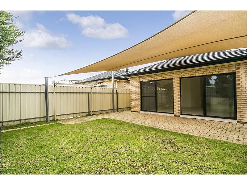 19 Barry Road, Oaklands Park SA 5046