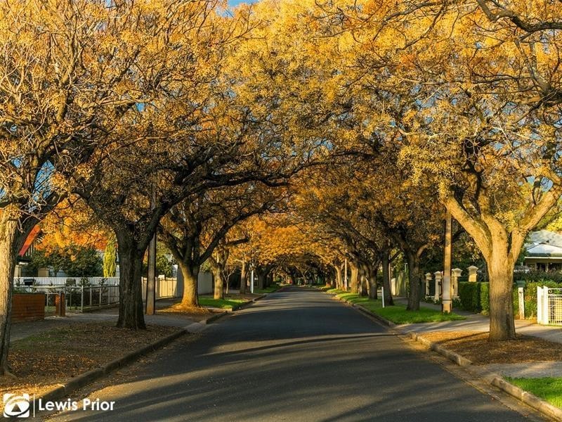 32 Penang Avenue, Colonel Light Gardens SA 5041