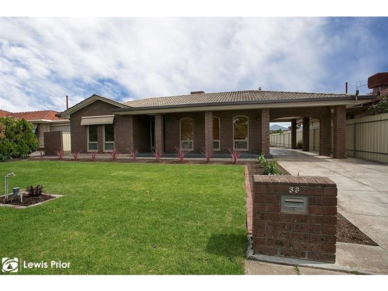 36 Myer Avenue, Plympton SA 5038