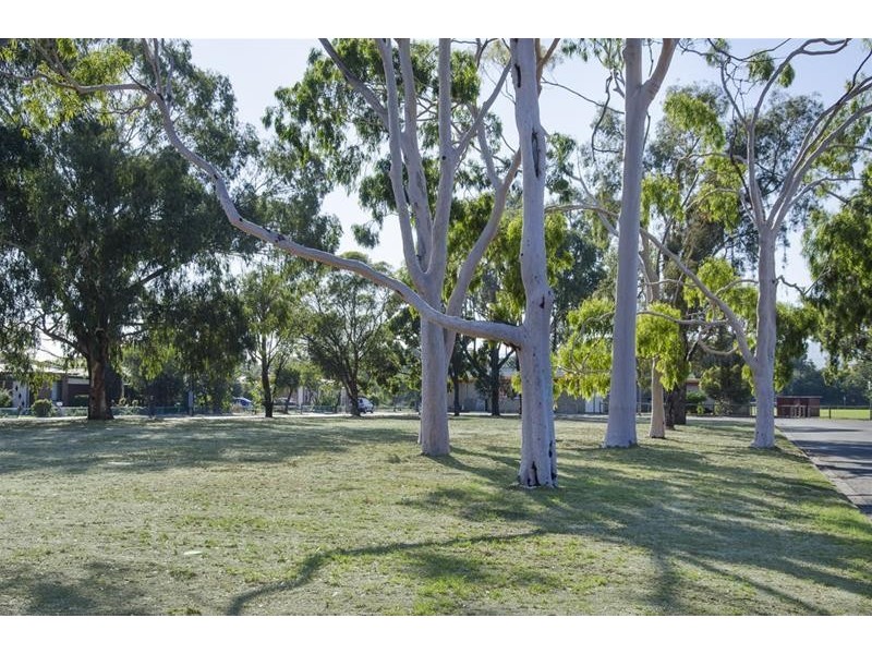 2B Regan Avenue, Morphettville SA 5043