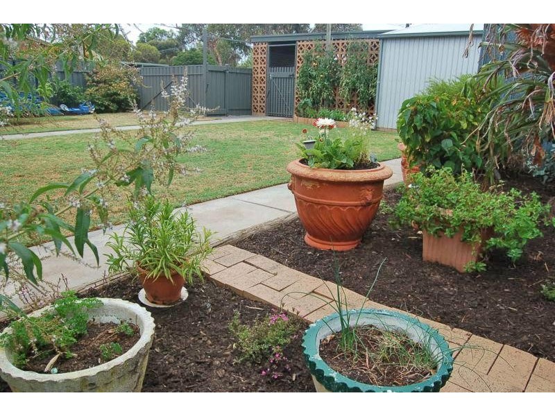 41 Boyle Street, Marion SA 5043