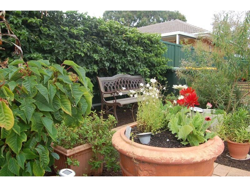 41 Boyle Street, Marion SA 5043