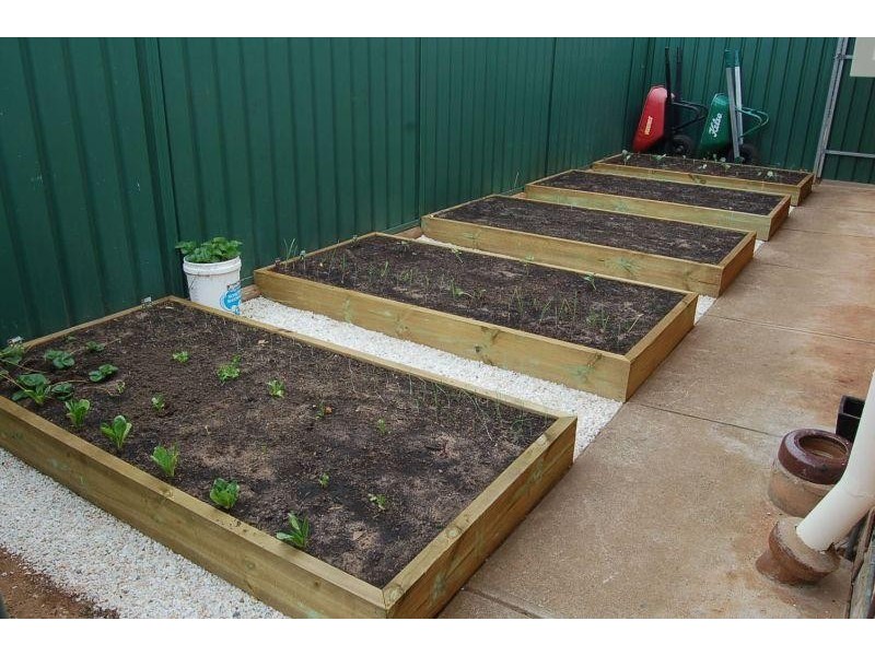 41 Boyle Street, Marion SA 5043