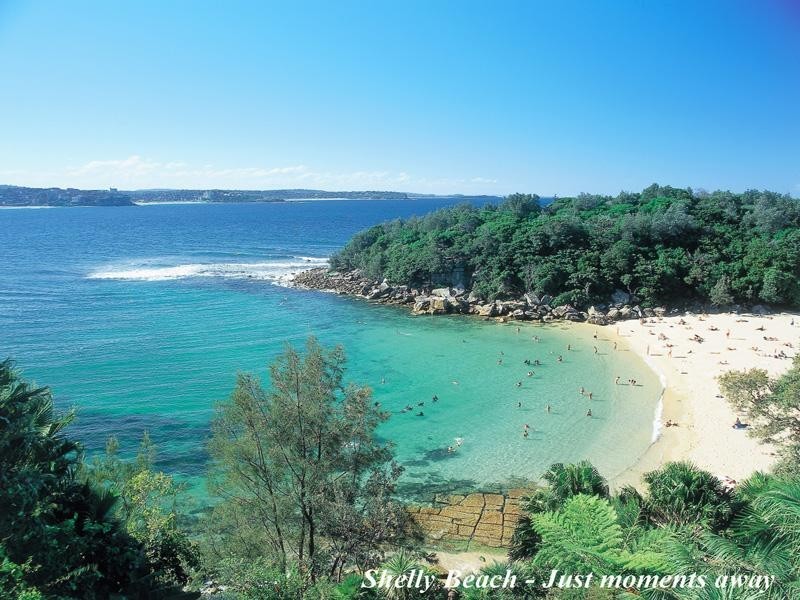 6/60 Bower Street, Manly NSW 2095