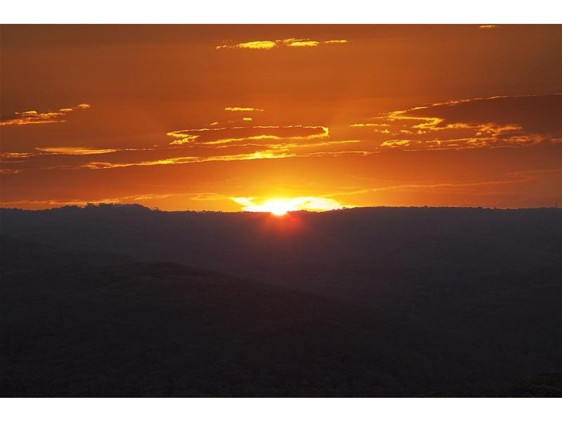 21 Caladenia Close, Elanora Heights NSW 2101