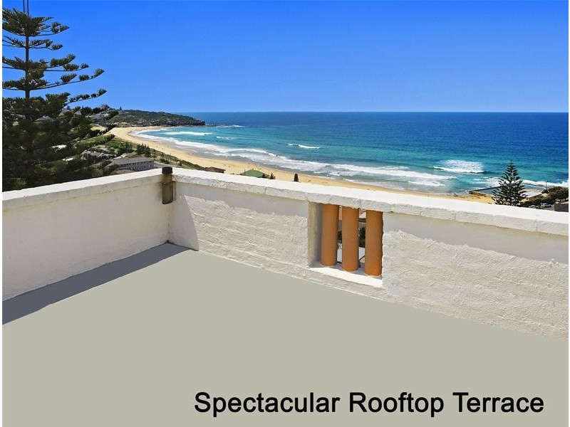 17 Loch Street, Freshwater NSW 2096