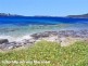 15 The Crescent, Manly NSW 2095
