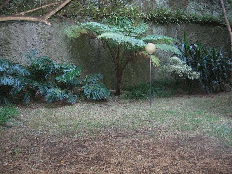 8 Hampden Street, Paddington NSW 2021