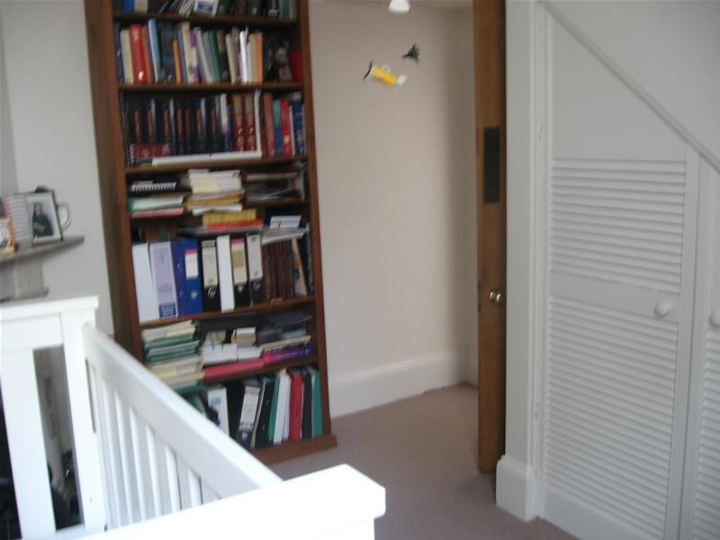 15 Stafford Street, Paddington NSW 2021