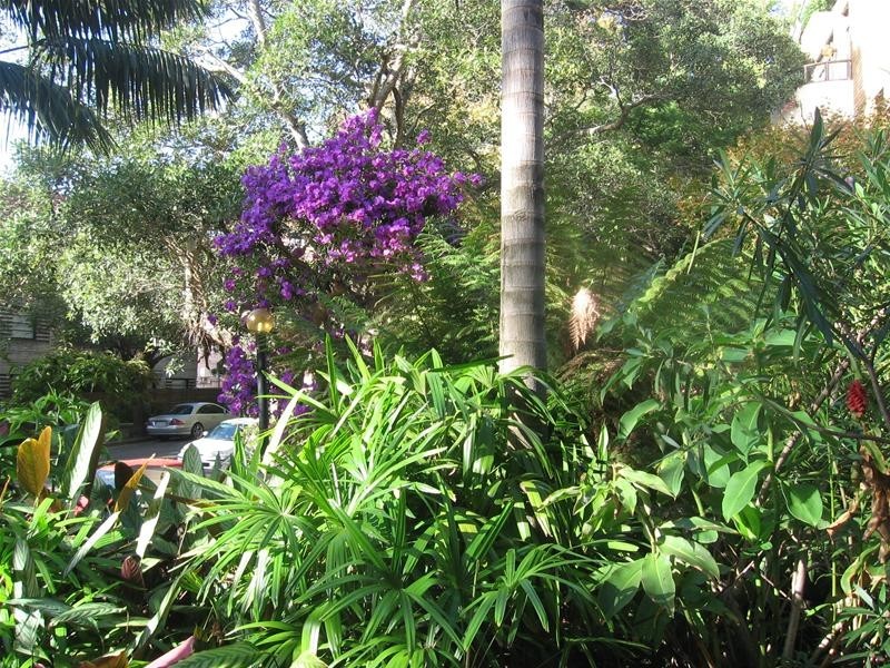 33 Ocean Avenue, Double Bay NSW 2028