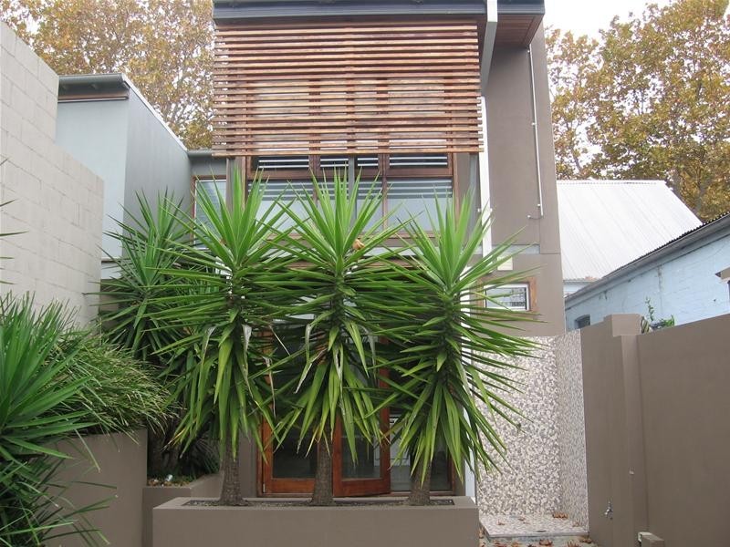 135 Buckland Street, Alexandria NSW 2015