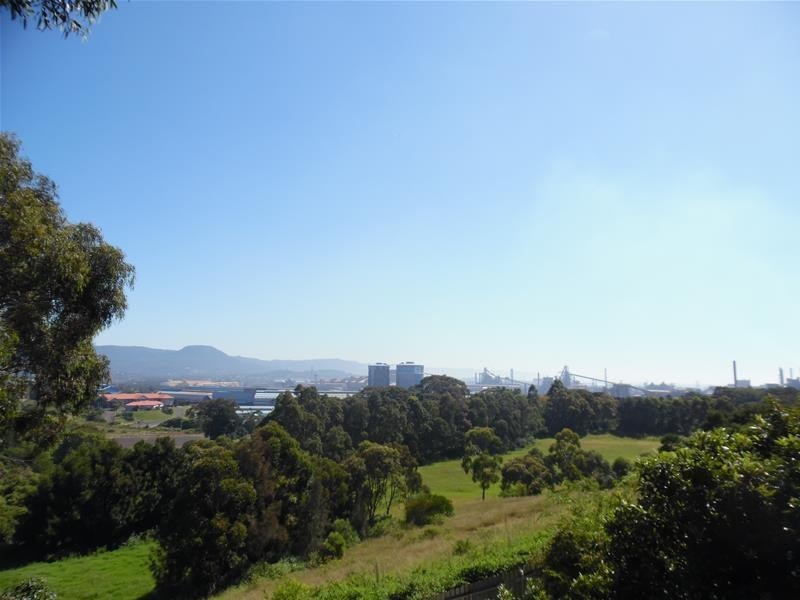 78a  Flagstaff Road, Warrawong NSW 2502