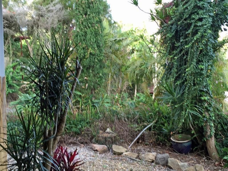 Tamborine Mountain QLD 4272