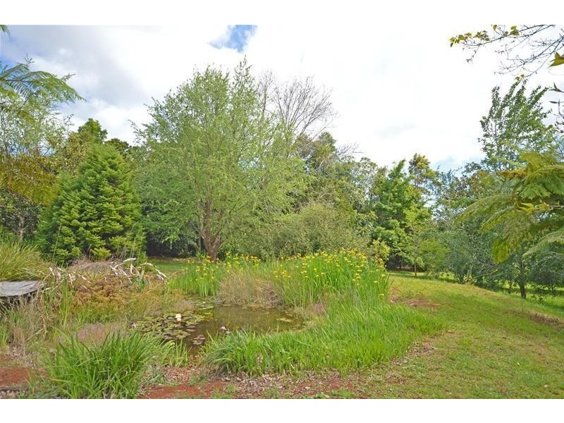 Tamborine Mountain QLD 4272