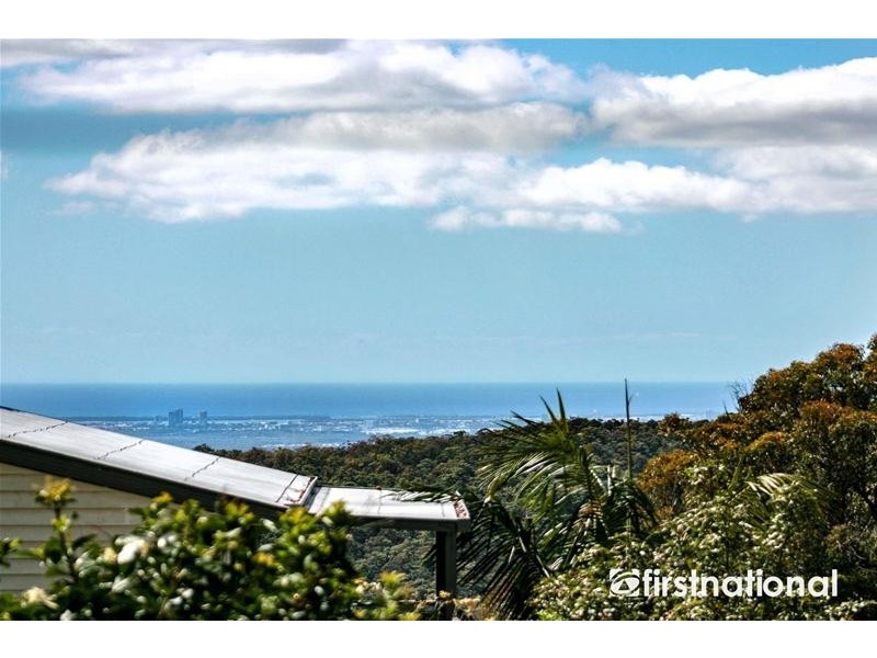 11 Orchis Drive, Tamborine Mountain QLD 4272