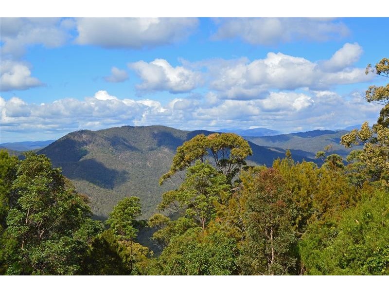 53 Landman Court, Tamborine Mountain QLD 4272