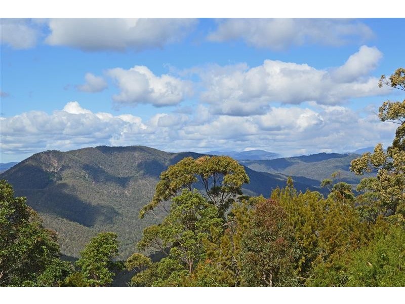 53 Landman Court, Tamborine Mountain QLD 4272