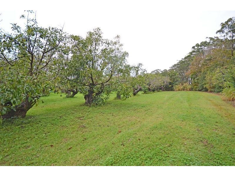 Tamborine Mountain QLD 4272