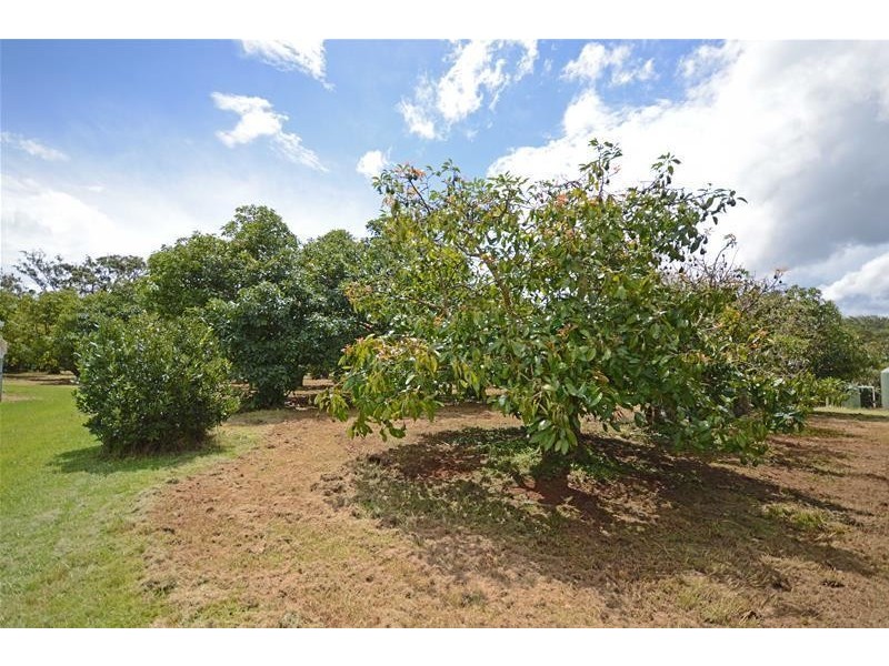 Tamborine Mountain QLD 4272