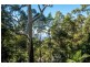 123 Contour Road, Tamborine Mountain QLD 4272
