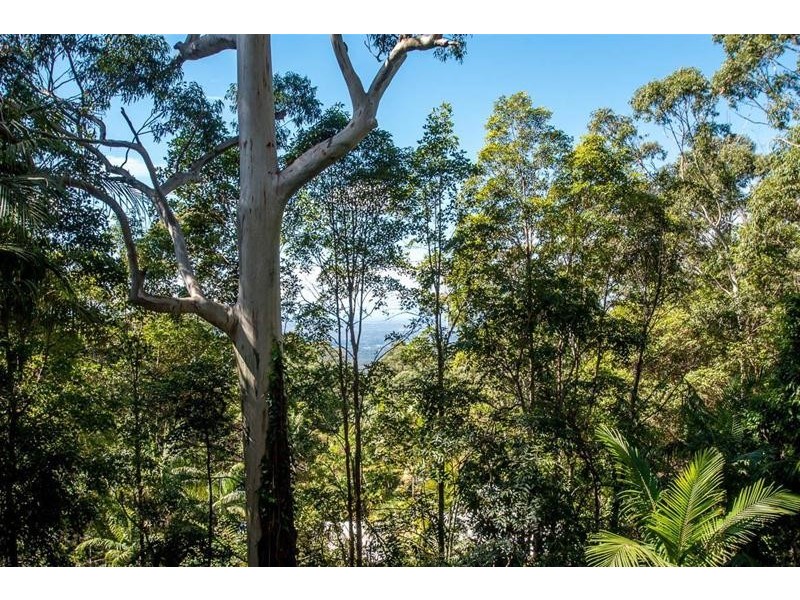 123 Contour Road, Tamborine Mountain QLD 4272